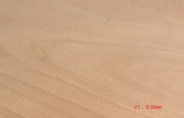 Impiallacciatura rotatoria gialla di Okoume del taglio per il truciolato, 0,2 millimetri - 0,6 millimetri di spessore