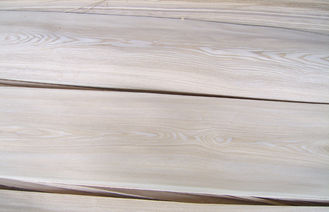 La Russia naturale Ash Wood Veneer Plywood Crown bianco ha tagliato per mobilia
