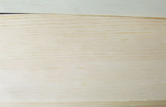 0,45 millimetri del pino strobo del quarto di impiallacciatura del taglio con grano diritto fine