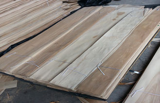 Naturale affettato ha tagliato il foglio per impiallacciatura scolorito di legno di betulla per mobilia